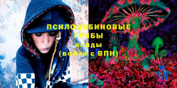 бошки Елизово
