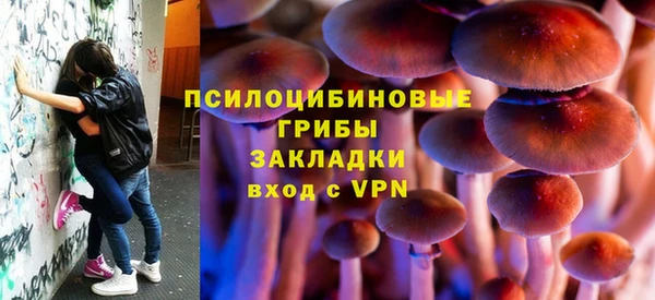 spice Елабуга