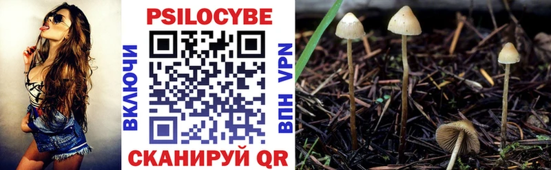 купить наркоту  Зеленогорск  Псилоцибиновые грибы мицелий 